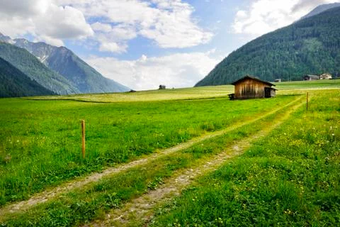 Alpine meadow Stock Photos