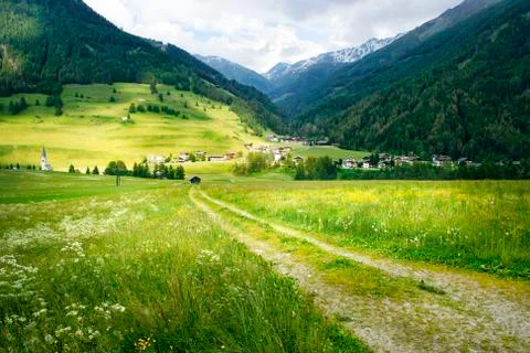 Alpine meadow Stock Photos
