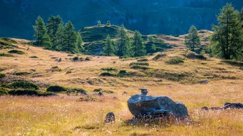 Alpine meadow Stock Photos