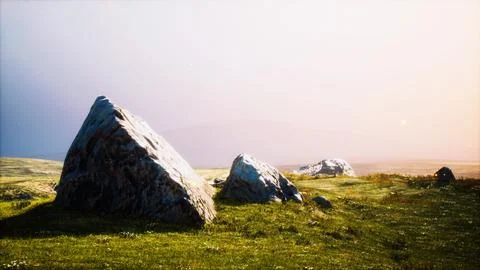 Alpine meadow with rocks and green grass Stock Illustration