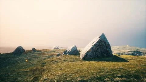 Alpine meadow with rocks and green grass Stock Illustration