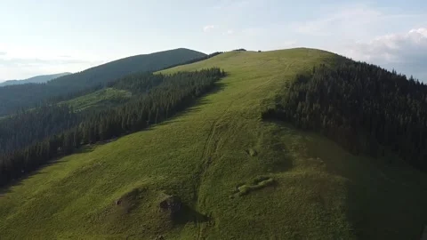 Alpine Meadow Splendor: Drone Views of Pajiste Alpina in Verdant Majesty Video stock 255520010