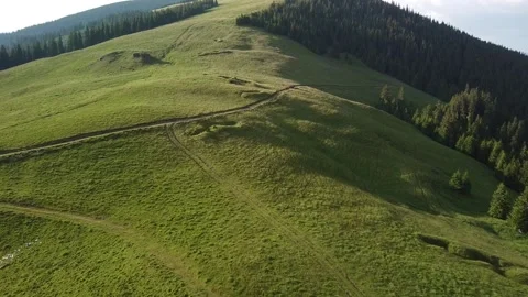 Alpine Meadow Splendor: Drone Views of Pajiste Alpina in Verdant Majesty Stock Footage 255520095