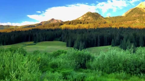Alpine meadow in summer Stock Footage 272725946
