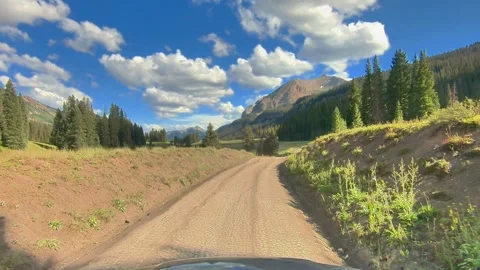 Alpine meadow in summer Stock Footage 272725947