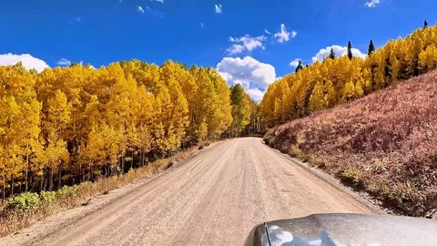 Alpine meadow in summer Stock Footage 272735774