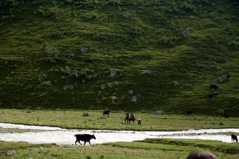Alpine meadow surrounded by mountains. Foto stock