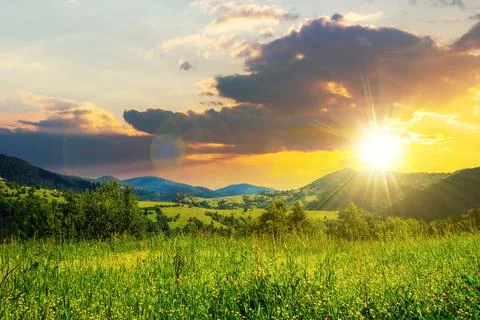 Alpine meadow with tall grass on a background of mountains at sunset Stock Photos