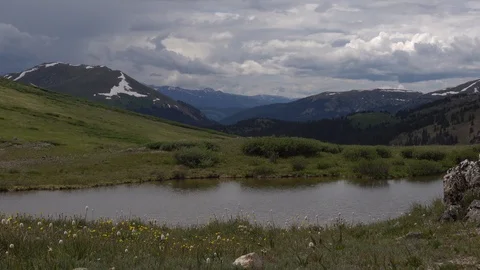 Alpine Meadow on top of mountain pass Wild flowers bloom around a small pond. Stock Footage 117537832