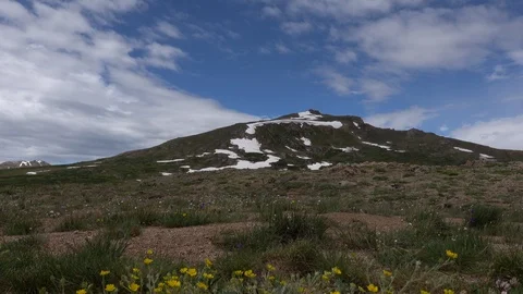 Alpine Meadow on top of mountain pass,  high above the timber line. Stock Footage 117547052
