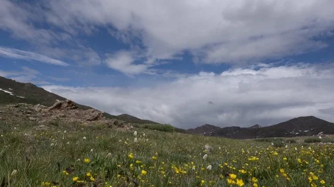 Alpine Meadow on top of mountain pass,  high above the timber line. Stock Footage 117548730