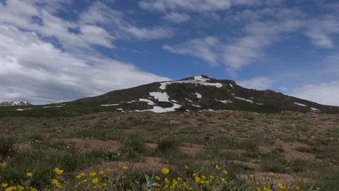 Alpine Meadow on top of mountain pass,  high above the timber line. Stock Footage 117548998
