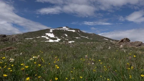 Alpine Meadow on top of mountain pass,  high above the timber line. Stockbeeldmateriaal 117578051