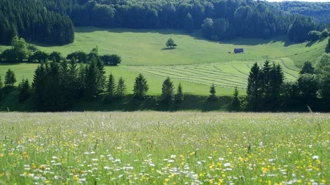 Alpine meadow in the valley bodinggraben Vídeos de archivo 126809662