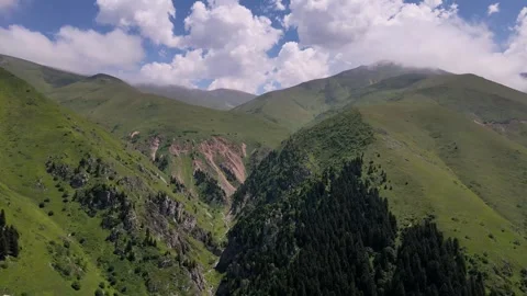 Alpine Meadows and Cloudy Blue Sky Stock Footage 337543665