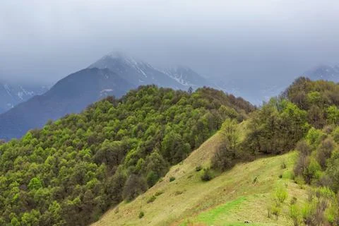 Alpine meadows and forests Foto stock