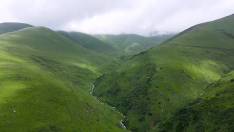 Alpine Meadows Stock-Footage 331948468