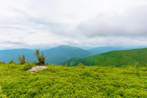 Alpine meadows of mnt. Runa Stock Photos