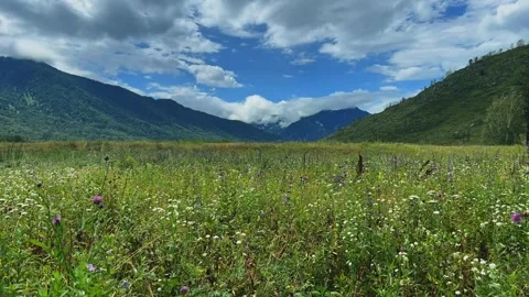 Alpine meadows in a mountain valley. Time lapse video. Vídeo Stock 301694491