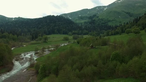 Alpine meadows on the mountains Video stock 91520558