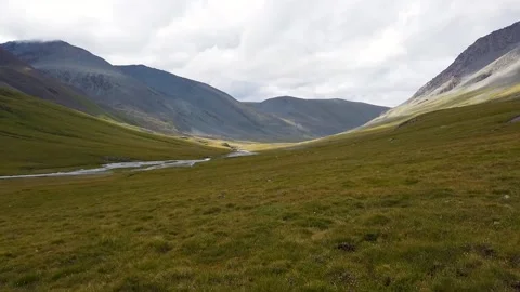 Alpine meadows in the mountains Stock Footage 147553547
