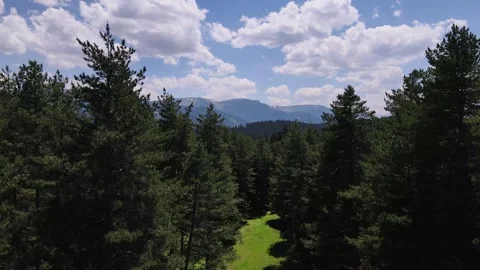 Alpine Meadows, Pine Forests And Cloudy Skies Vídeo Stock 334802689