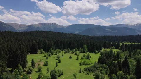 Alpine Meadows, Pine Forests And Cloudy Skies Vidéo 334812345