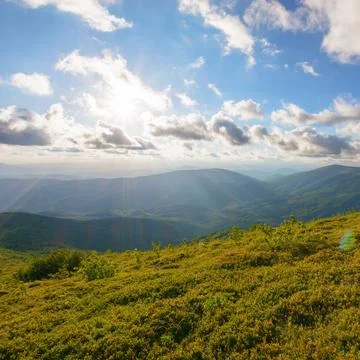 Alpine meadows of runa mountain Stock Photos