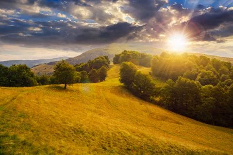 Alpine meadows at sunset in summer 写真素材