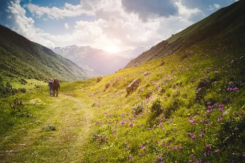 Alpine meadows in sunshine. Location Upper Svaneti, Georgia country, Europe.  Stock Photos