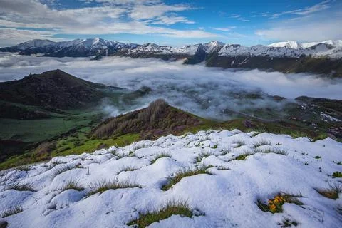 Alpine meadows under snow in spring in the mountains at dawn, against the b.. Stock Photos