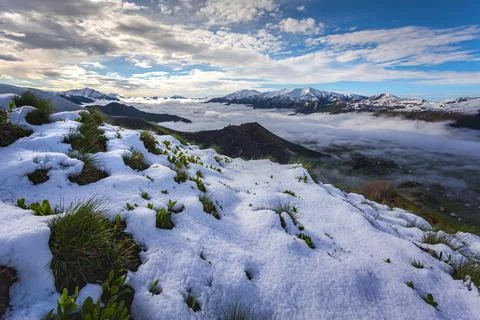 Alpine meadows under snow in spring in the mountains at dawn, against the b.. Stock Photos