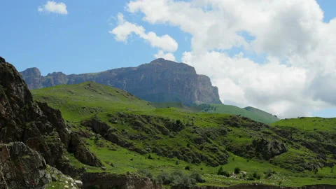 Alpine meadowю Summer mountain herbage Stock Footage 130891138