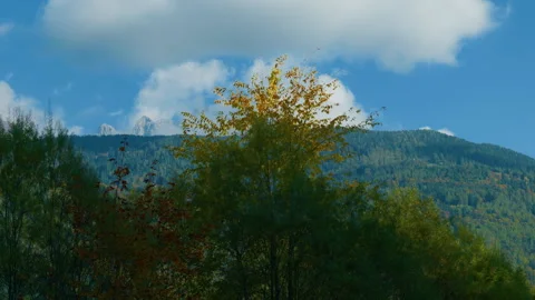 Alpine mountain autumn trees forest clouds sky handheld left right pan shot Stock Footage 346483893