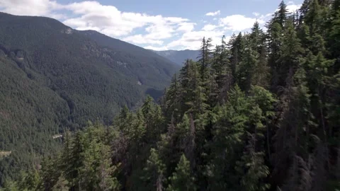 Alpine mountain forest, mountain pass, national park, Canada, aerial drone Stock Footage 209754531