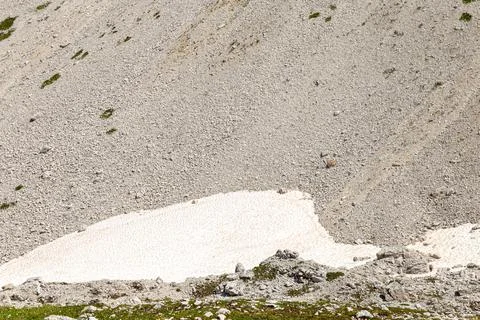 Alpine mountain glacier Fotos de archivo