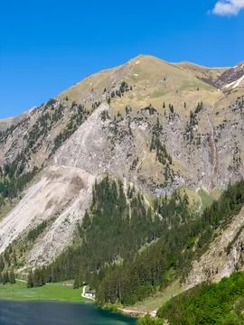Alpine Mountain Lake with Pine Forest and Meadow at the Foot of Rocky Peaks Stock Photos