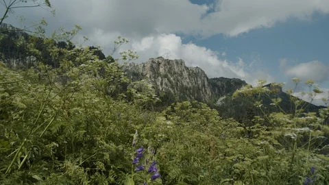 Alpine mountain meadows Stock Footage 112734482