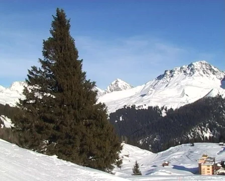 Alpine mountain panorama Stock Footage 111902
