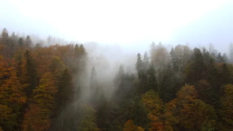 Alpine Mountain Panoramic Scenery View Stock Footage 229849210