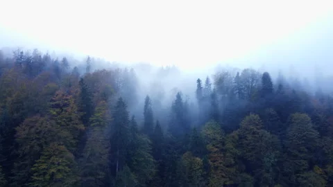 Alpine Mountain Panoramic Scenery View Stock Footage 229849265