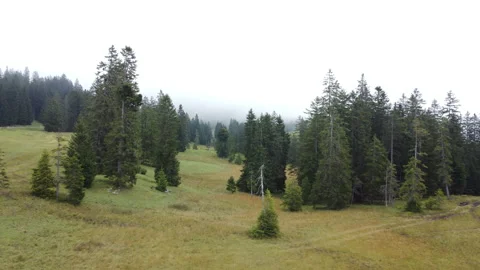 Alpine Mountain Panoramic Scenery View Stock Footage 229850067