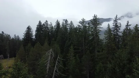 Alpine Mountain Panoramic Scenery View Stock Footage 229850119