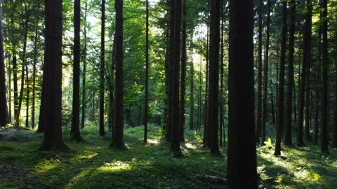 Alpine Mountain Panoramic Scenery View Stock Footage 229850188