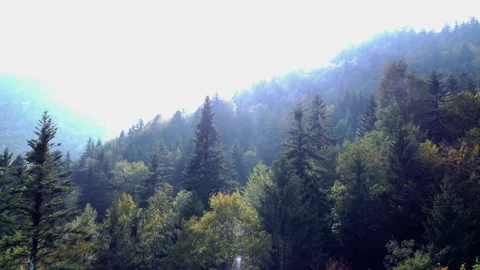 Alpine Mountain Panoramic Scenery View Stock Footage 229850331