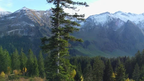 Alpine Mountain Panoramic Scenery View Stock Footage 229850526