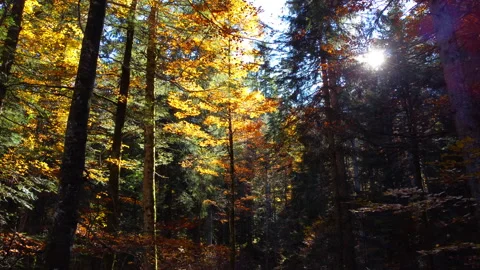 Alpine Mountain Panoramic Scenery View Stock Footage 229850736