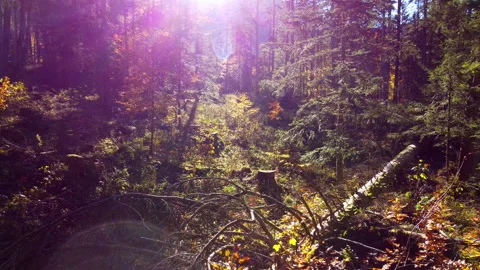 Alpine Mountain Panoramic Scenery View Stock Footage 229850939