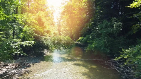 Alpine Mountain Panoramic Scenery View Stock Footage 229851702