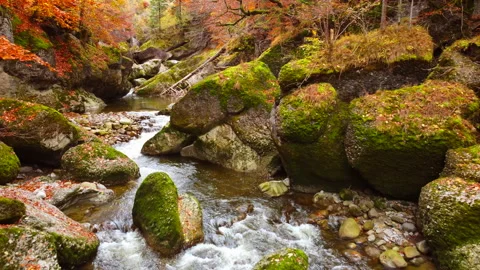 Alpine Mountain Panoramic Scenery View Stock Footage 229851951